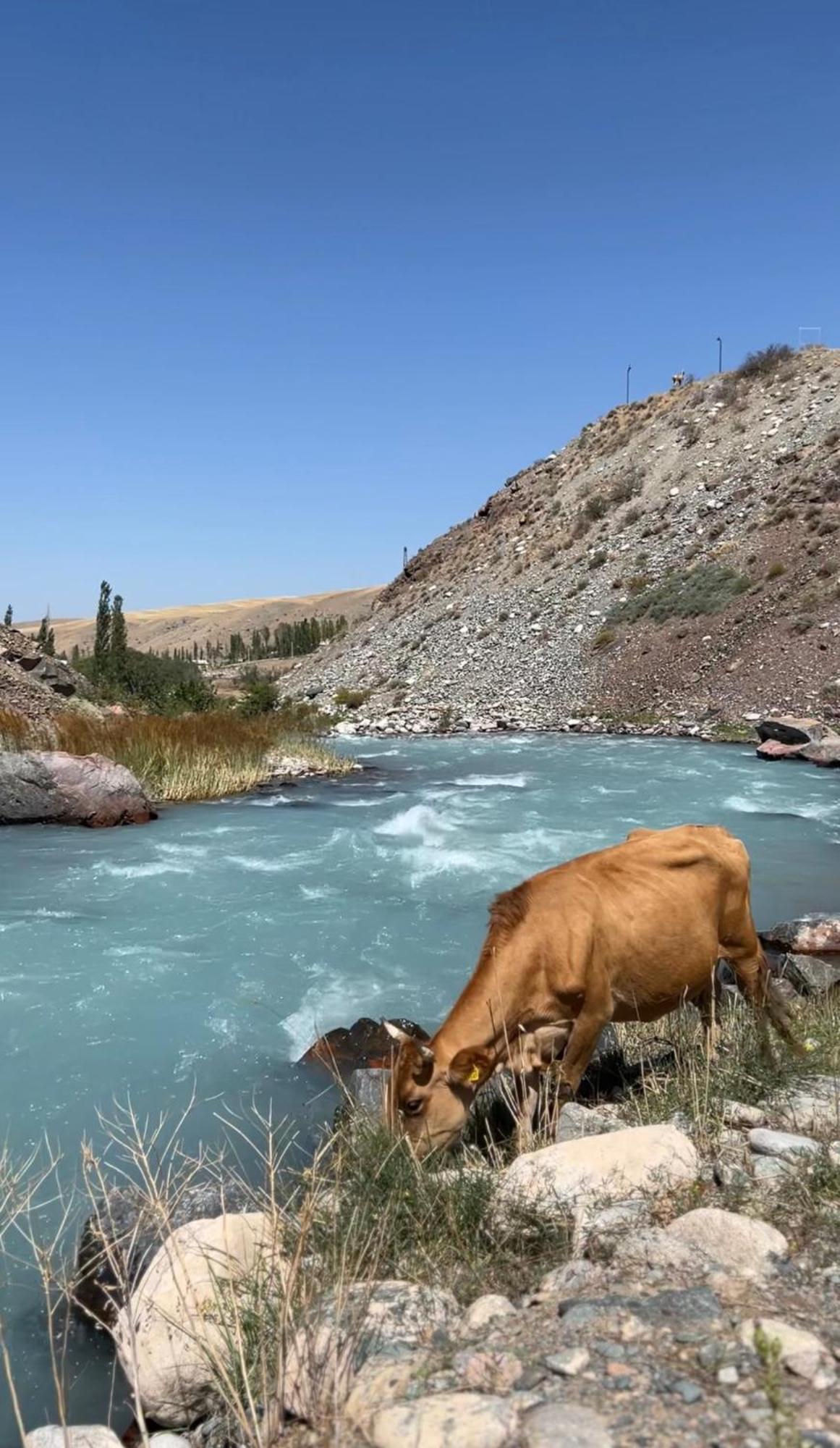 Mountain View Hot Spring Resort Bishkek Esterno foto